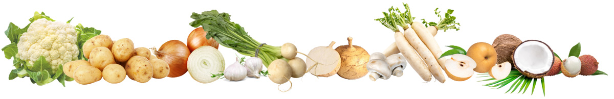 This image has an empty alt attribute; its file name is L1-FruitsVeggies-Red-1024x189.png