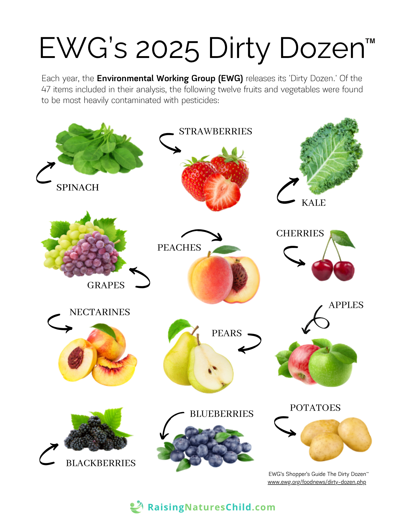 EWG 2025 Dirty Dozen