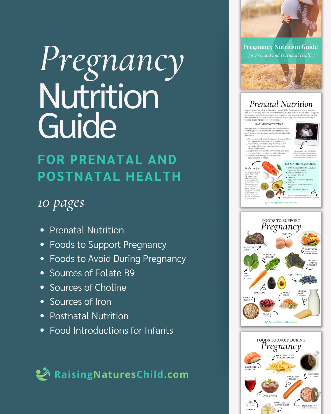 Pregnancy Nutrition Guide for Prenatal and Postnatal Health - Image 2