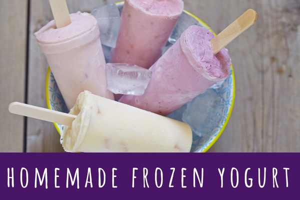 Homemade Frozen Yogurt Recipe - VV