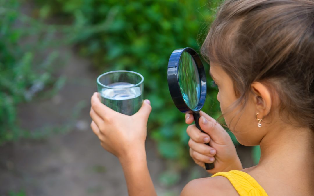 COMING SOON: Water Wellness: Clean Water & Contaminants