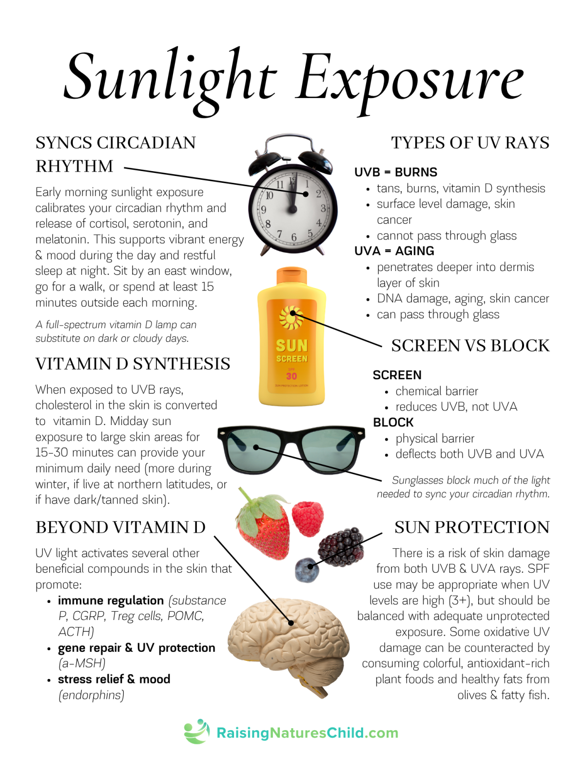 Sunlight Exposure Handout